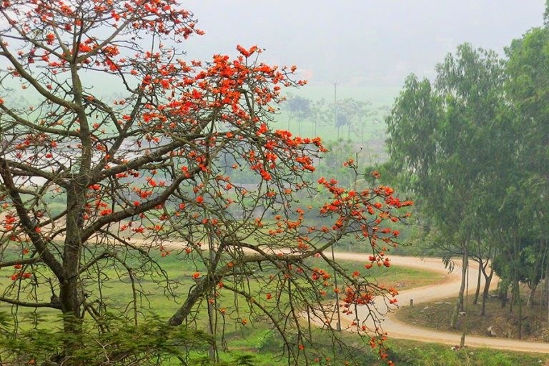 Núi Trầm đẹp nhất khi nào?