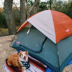 5 chiếc lều cắm trại 4 người phổ biến nhất