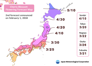 [WeNews] Dự báo lịch nở hoa anh đào Nhật Bản năm 2018