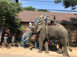 [WeNews] Chuyến tàu hỏa đưa bạn đến những khung cảnh thù thắng, tráng lệ nhất