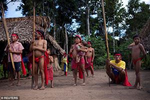 Thổ Dân Sống Biệt Lập Trong Rừng Amazon Nhiễm Covid-19 Tử Vong