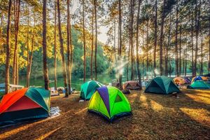 Lý do để sử dụng chiếc lều cắm trại 4 người hơn là sử dụng chiếc nhỏ hơn