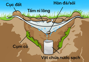 [WeNews] 6 điều bạn phải thuộc lòng nếu muốn sống sót khi bị lạc giữa thiên nhiên