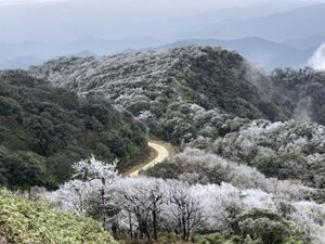 [WeNews] Băng phủ trắng đỉnh Phia Oắc ở Cao Bằng