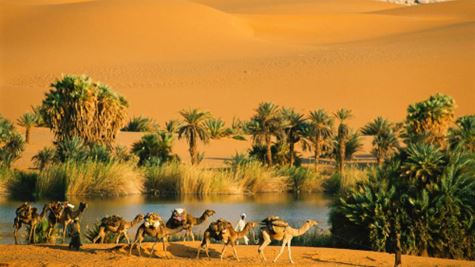 [WeNews] Những điều kỳ lạ từng xảy ra trên sa mạc Sahara