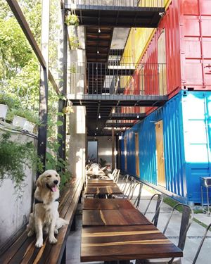 [WeNews] Phát sốt với Container Hostel cực độc đáo ở Nha Trang