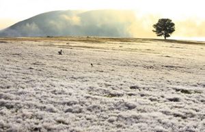 Tất tần tật về đồi cỏ tuyết đẹp dã man ở Đà Lạt