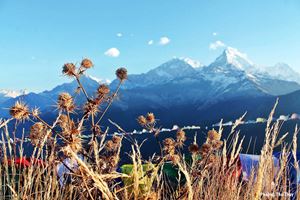 [WeNews] 7 điều lý thú về cung trekking lên đồi Poon (Nepal) thuộc dãy Himalaya