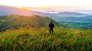 [WeNews] Phú Quốc, Tây Nguyên được du khách thích vì an toàn trong mùa dịch