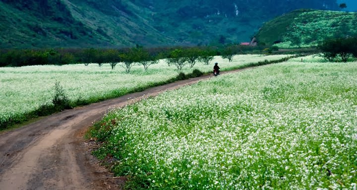 Bang-gia-ve-tham-quan-cac-dia-diem-noi-tieng-nam-2017-wetrek.vn