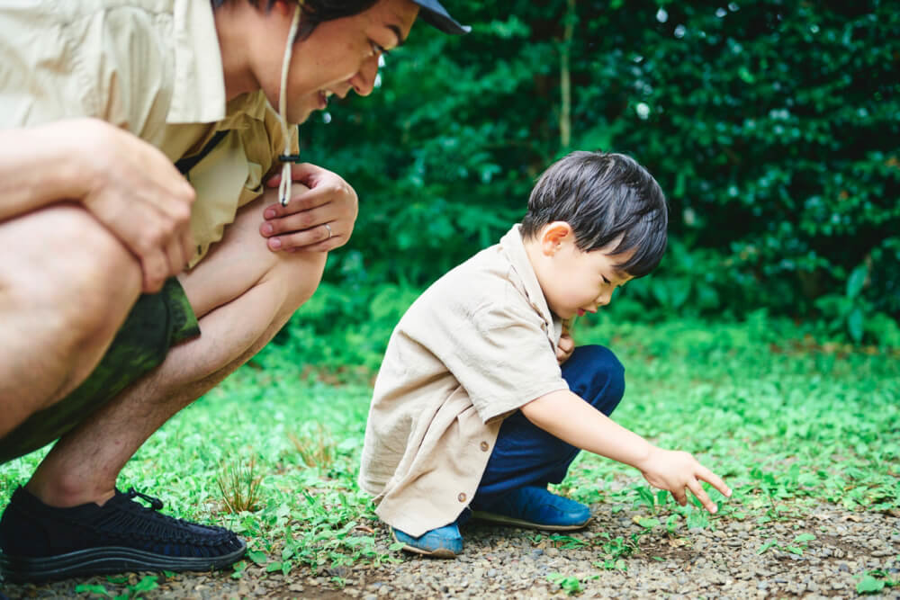 Cảnh cả gia đình quây quần bên nhau giao lưu với thiên nhiên và chơi bóng tại khu cắm trại