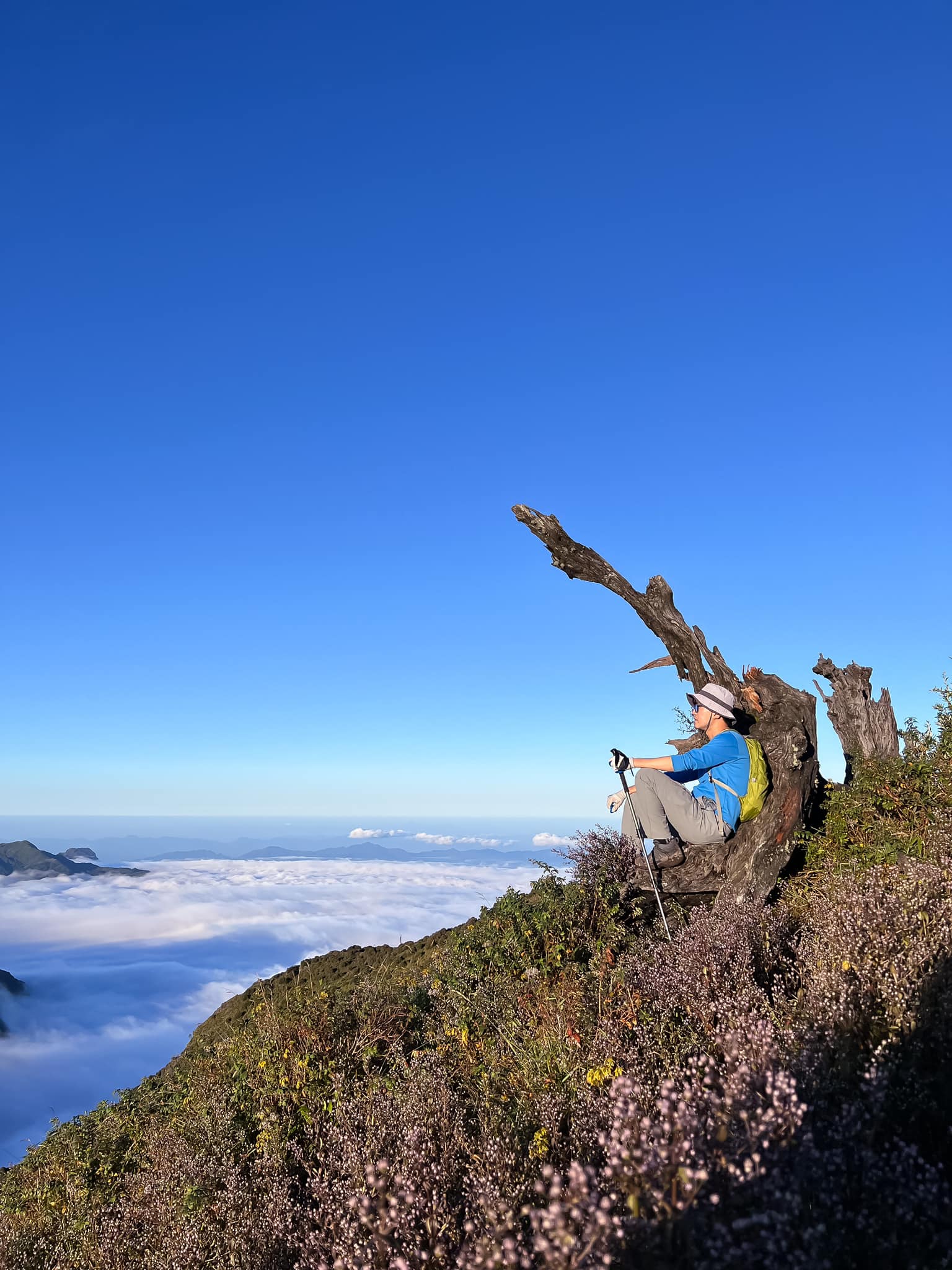 Cảnh đẹp trên đỉnh núi Tà Chì Nhù. Ảnh: NVCC.