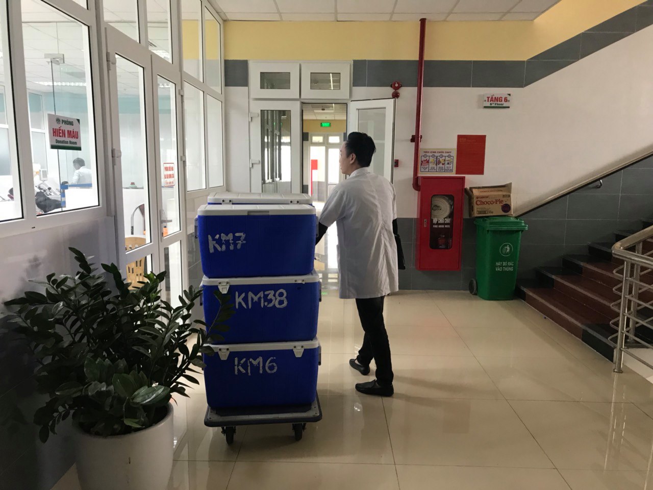 thùng đá trữ vắc xin WeTrek