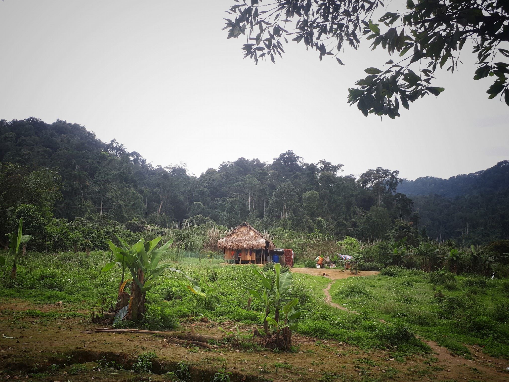 Ngôi Nhà Ở Bản Đoòng