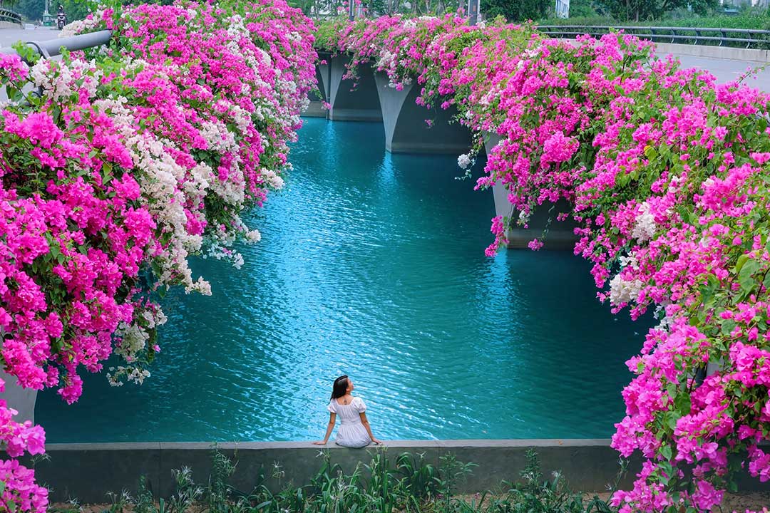 địa điểm dã ngoại gần Hà Nội