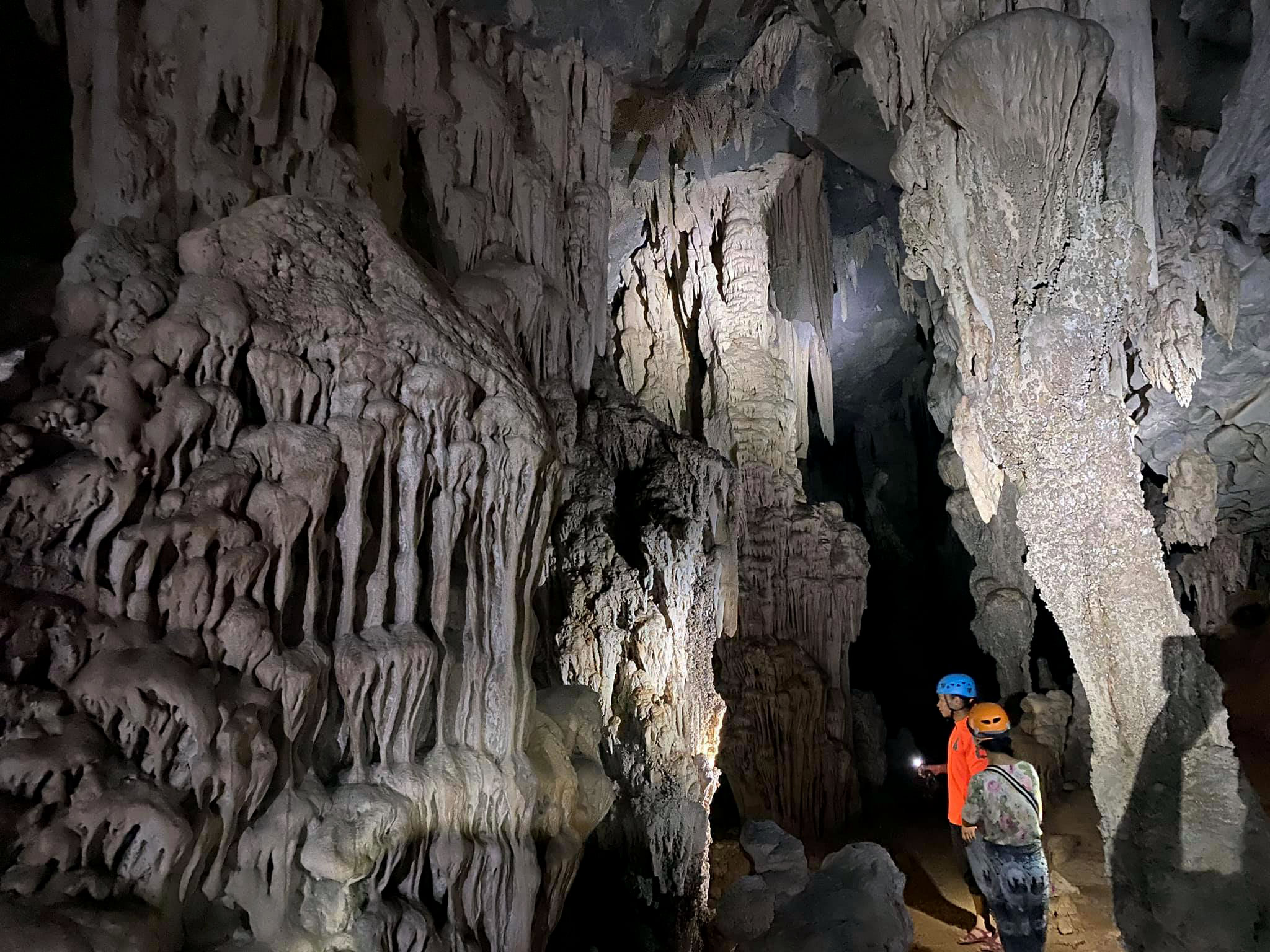Không muốn rời đi hang Bí Mật