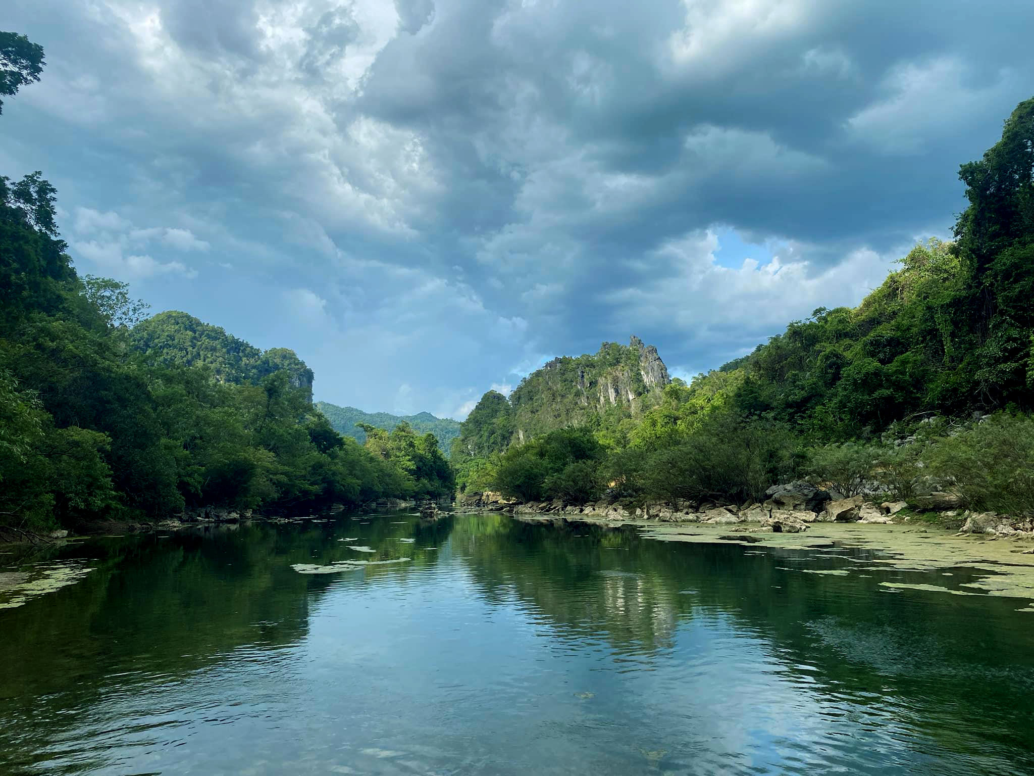 Hệ sinh thái ở khu vực Hang Tiên