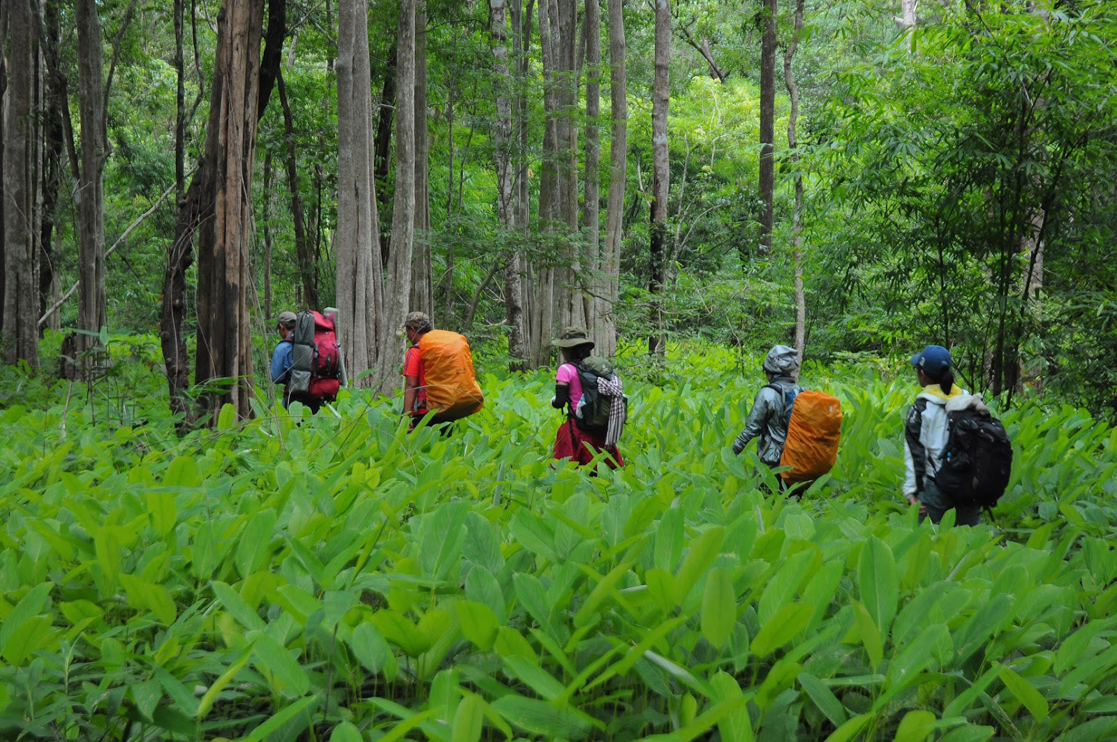 Hoàn thành nốt cung Tà Năng - Phan Dũng