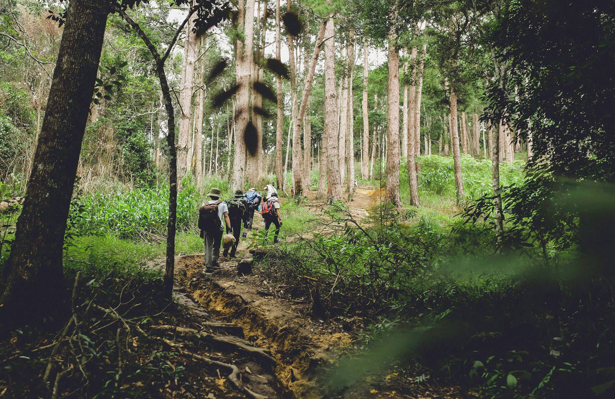 Đi Trekking Tà Năng bị lạc đường