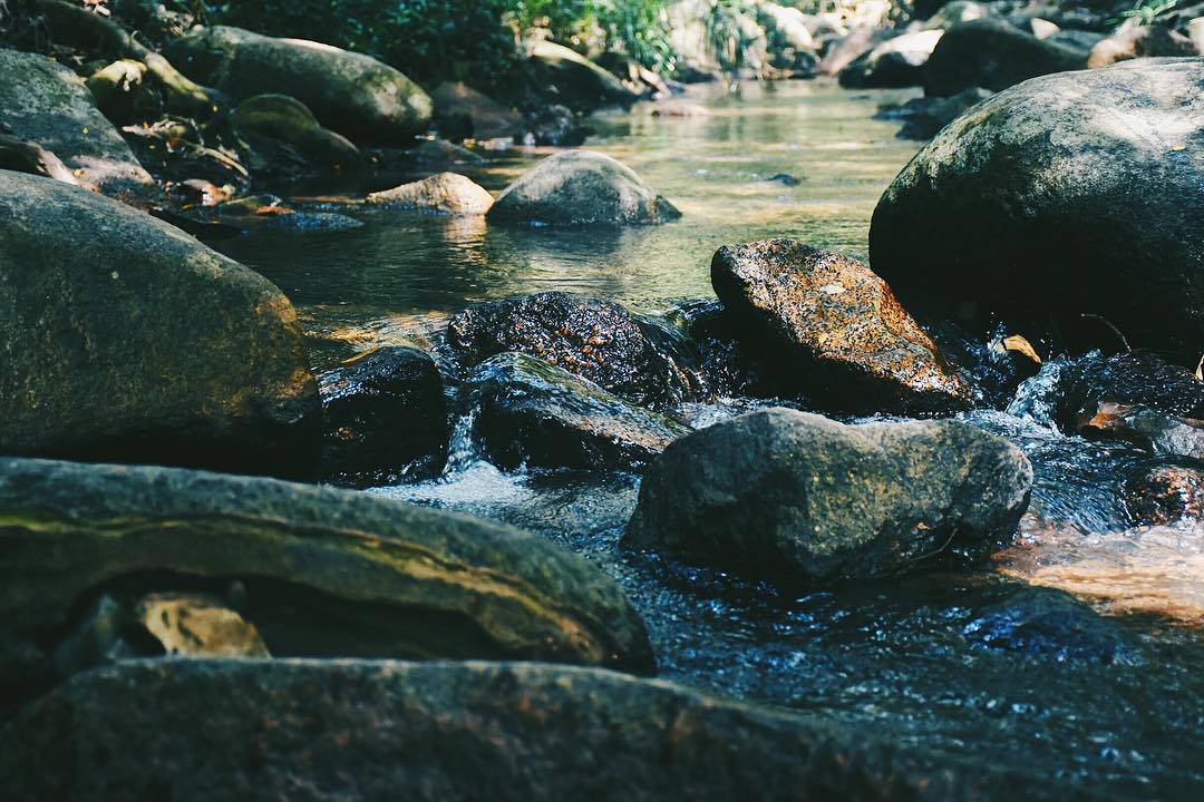 Ngẫu hứng bên dòng suối