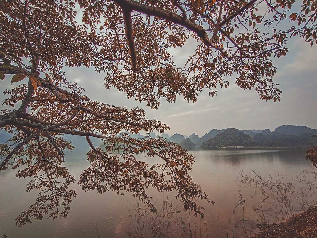 khu cắm trại quanh hà nội