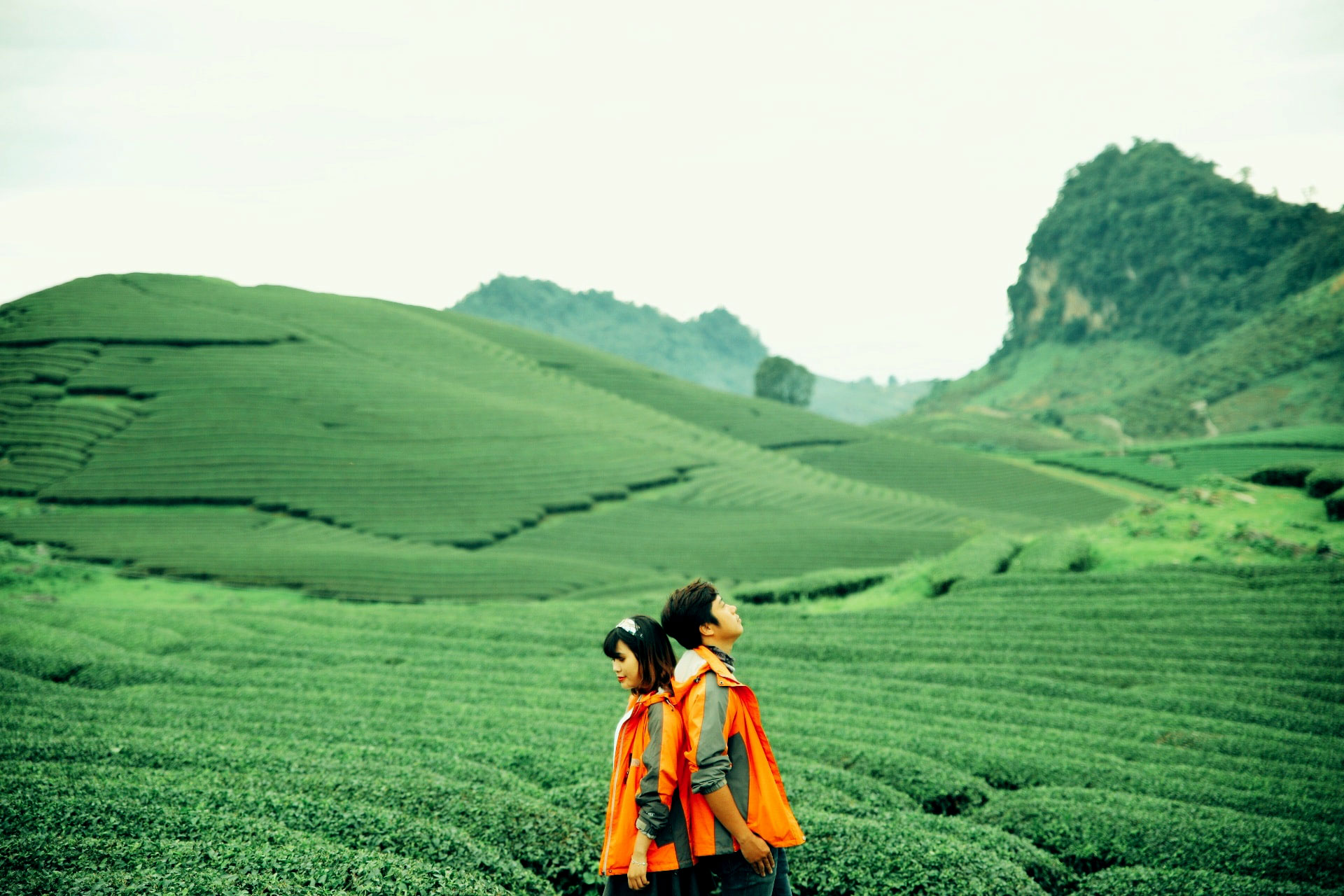 Săn mây Tà Xùa hay chụp ảnh đồi chè