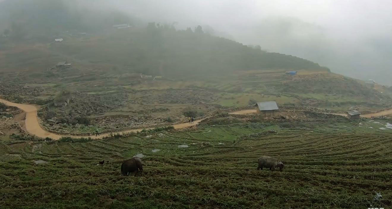 Bãi ruộng chăn trâu của người dân Sàng Ma Sáo