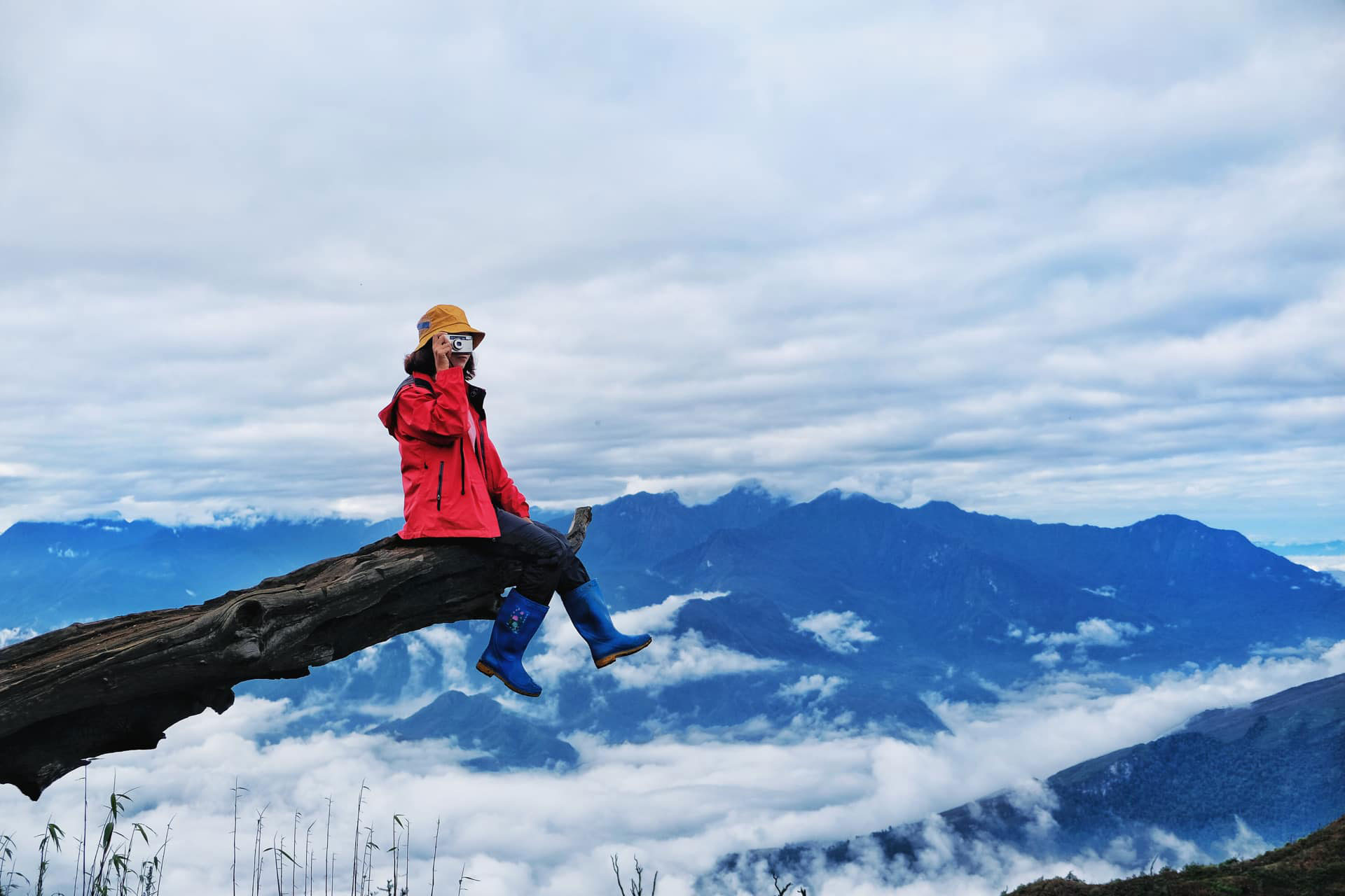 ũng một góc view đẹp ở gốc cây khô