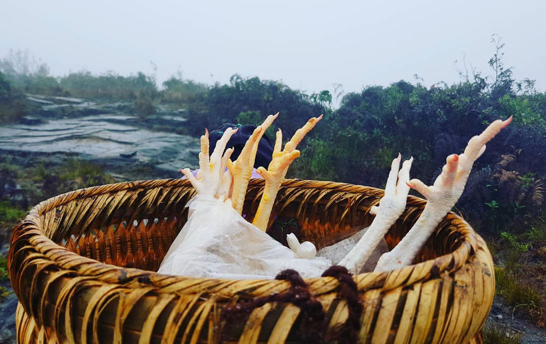 Gà chuẩn bị nướng 