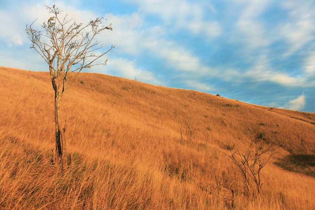 Trekking Tà Năng tháng 3 - mùa cỏ cháy