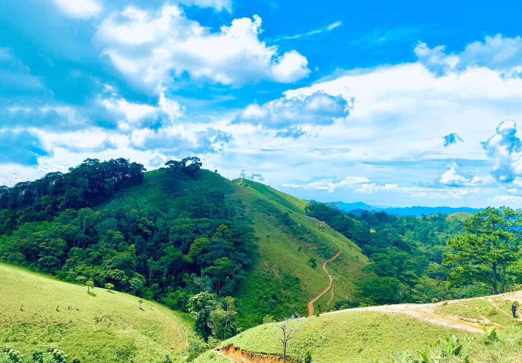 Trekking Tà Năng mùa cỏ xanh
