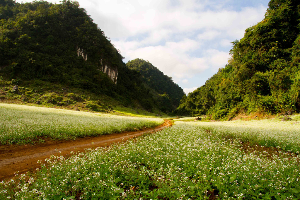 10-diem-den-trong-nuoc-mang-ve-dep-hoang-so-cho-nhung-tin-do-yeu-thien-nhien-wetrekvn