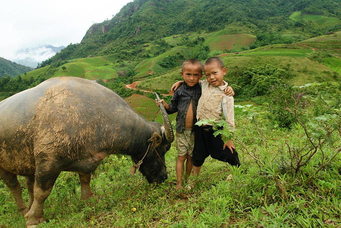5-cung-duong-trekking-thu-hut-phuot-thu-o-viet-nam-wetrekvn