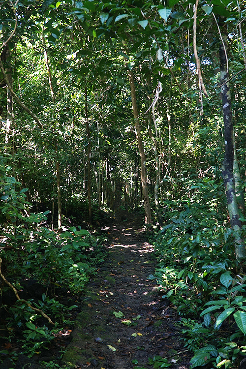 5-cung-duong-trekking-thu-hut-phuot-thu-o-viet-nam-wetrekvn
