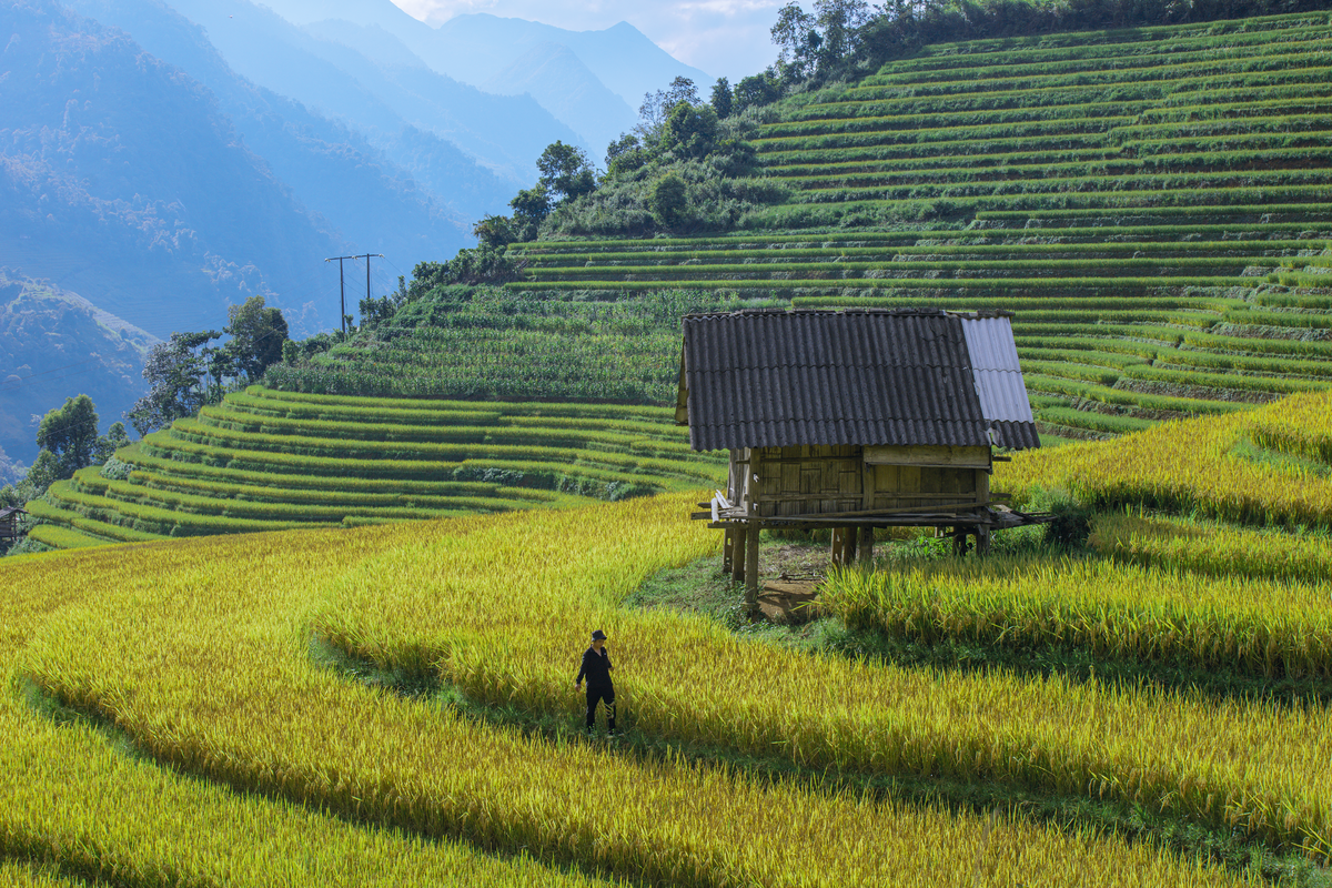 mua-vang-tinh-lang-o-sapa-wetrekvn