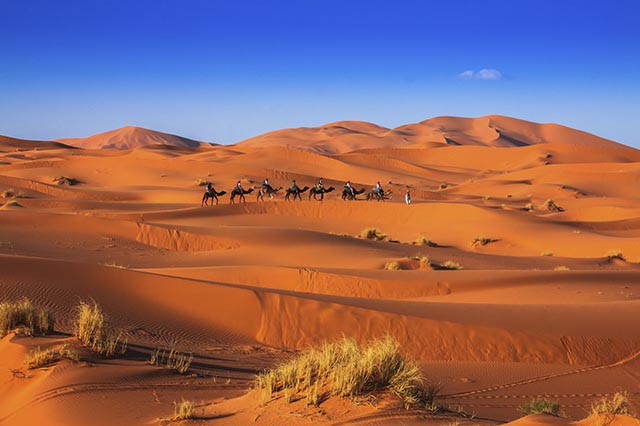 Bat-chap-ket-qua-o-world-maroc-van-la-diem-du-lich-van-nguoi-me-wetrekvn