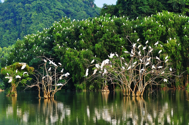 7-diem-den-hap-dan-o-ninh-binh-dip-30-4-wetrekvn
