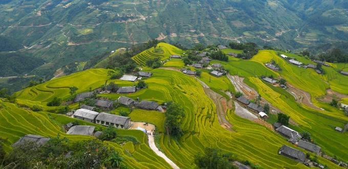 Ruong-bac-thang-dep-nhat-Việt-Nam-o-Hoang-Su-Phi-wetrekvn
