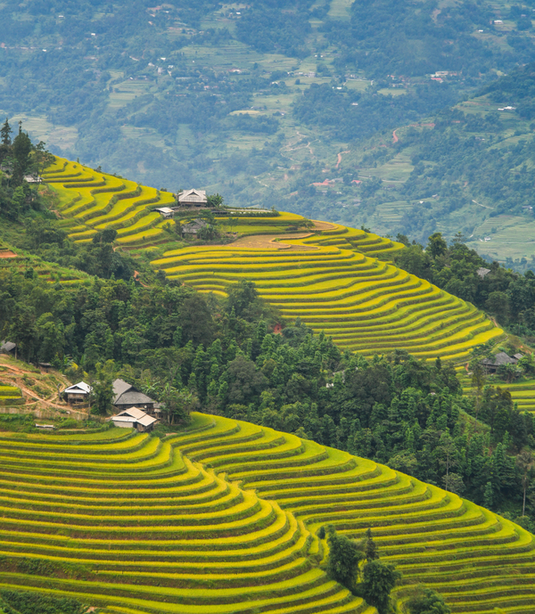 Ruong-bac-thang-dep-nhat-Việt-Nam-o-Hoang-Su-Phi-wetrekvn