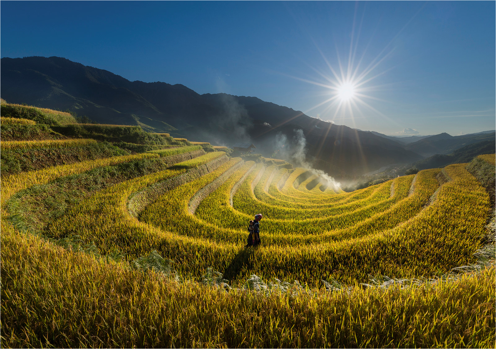 sac-thu-ruc-ro-trong-mua-vang-mu-cang-chai-wetrekvn