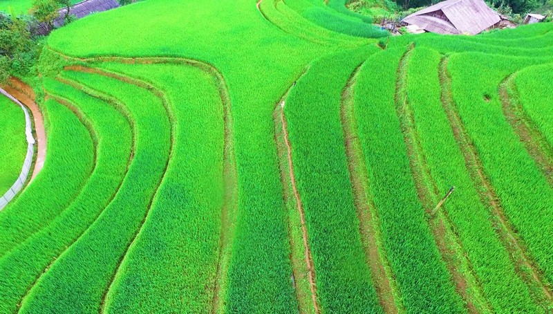 kham-pha-ve-dep-thung-lung-muong-hoa-tu-tren-cao-wetrekvn