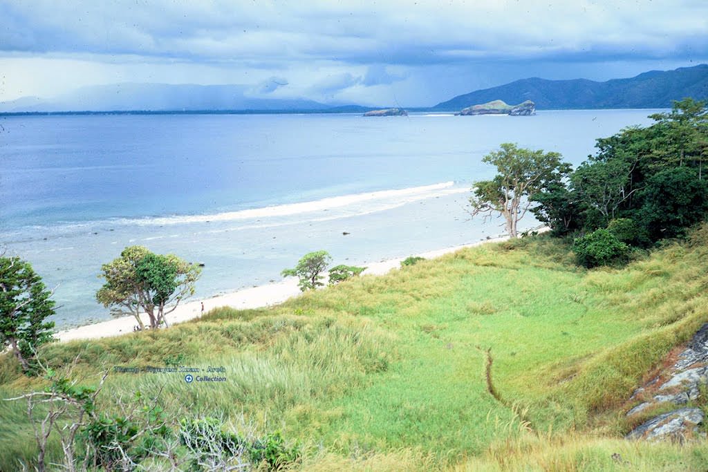 dao-tam-hai-quang-nam-wetrekvn