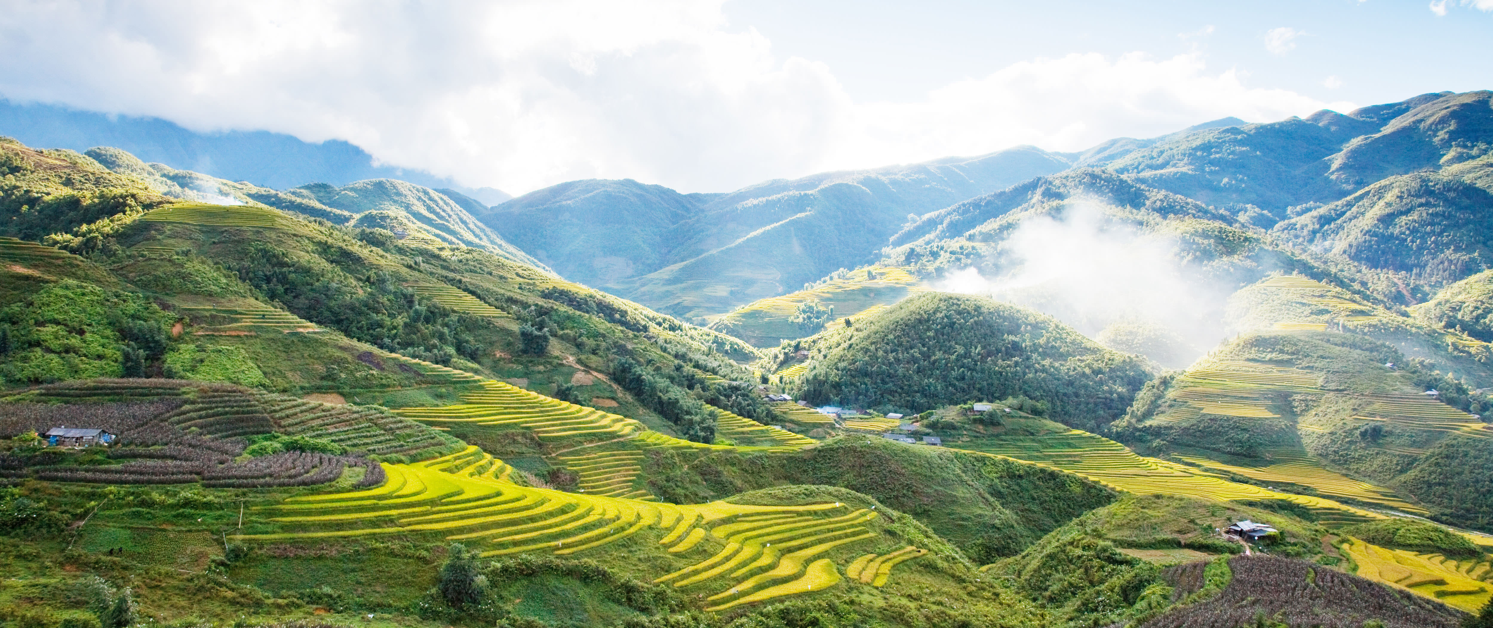 wetrekvn_sapa