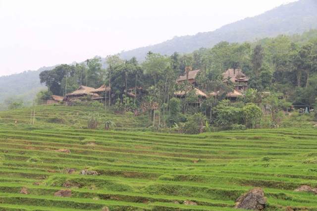 Ban-Don-nhin-tu-xa