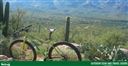 [WeTrekology] Cách Đạp Xe Ở Địa Hình Núi Tucson, Arizona, Mỹ