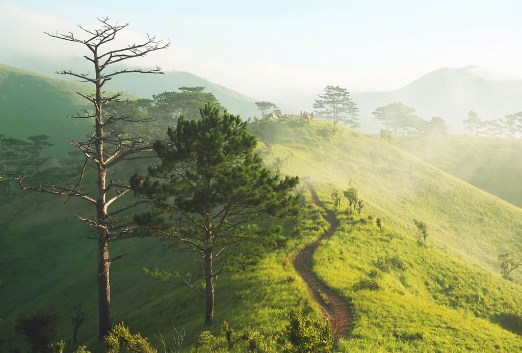 4-doi-co-tuyet-voi-nhat-de-cam-trai-tu-bac-vao-nam.jpg