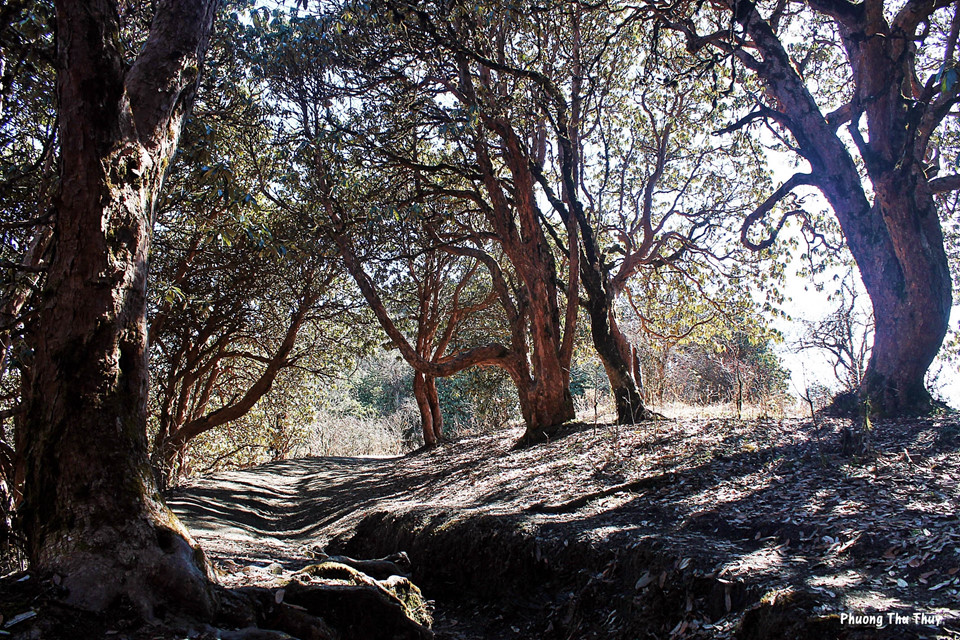7-dieu-li-thu-ve-cung-trekking-len-doi-Poon-thuoc-day-Himalaya-wetrekvn.jpg