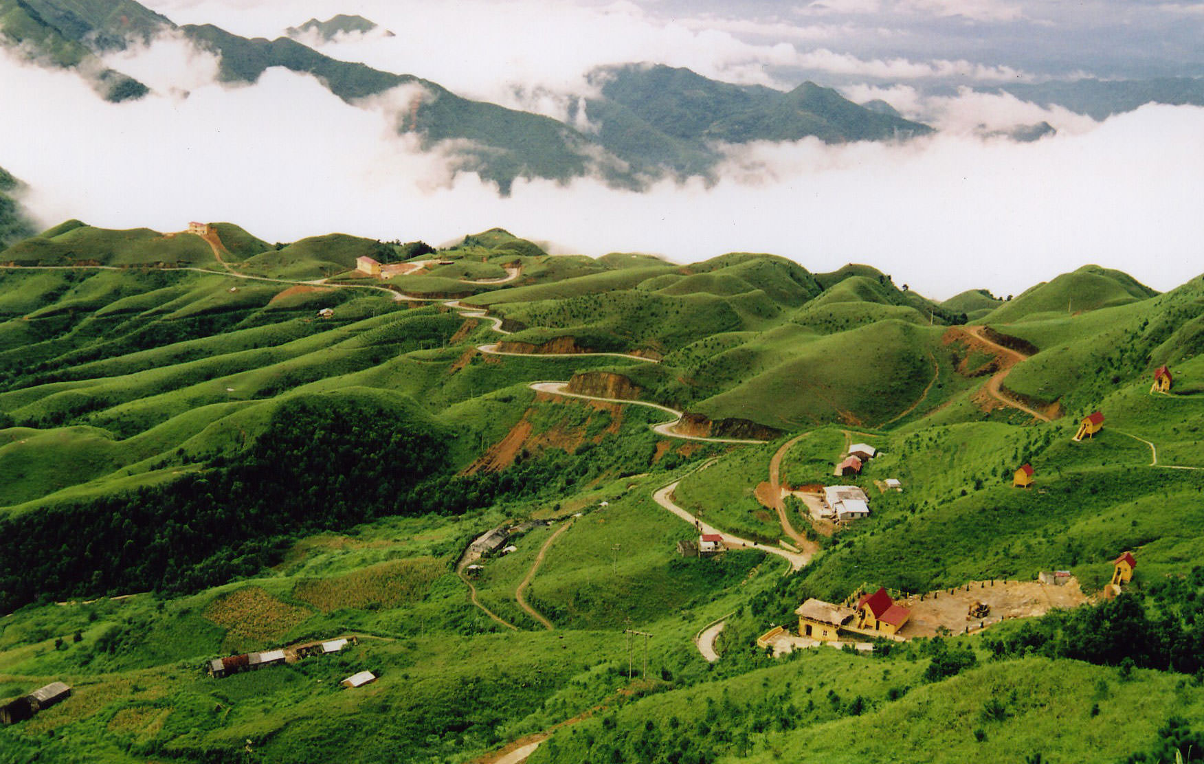 Cam-trai-ngam-hoa-cam-tu-cau-o-mau-son-wetrekvn.jpg