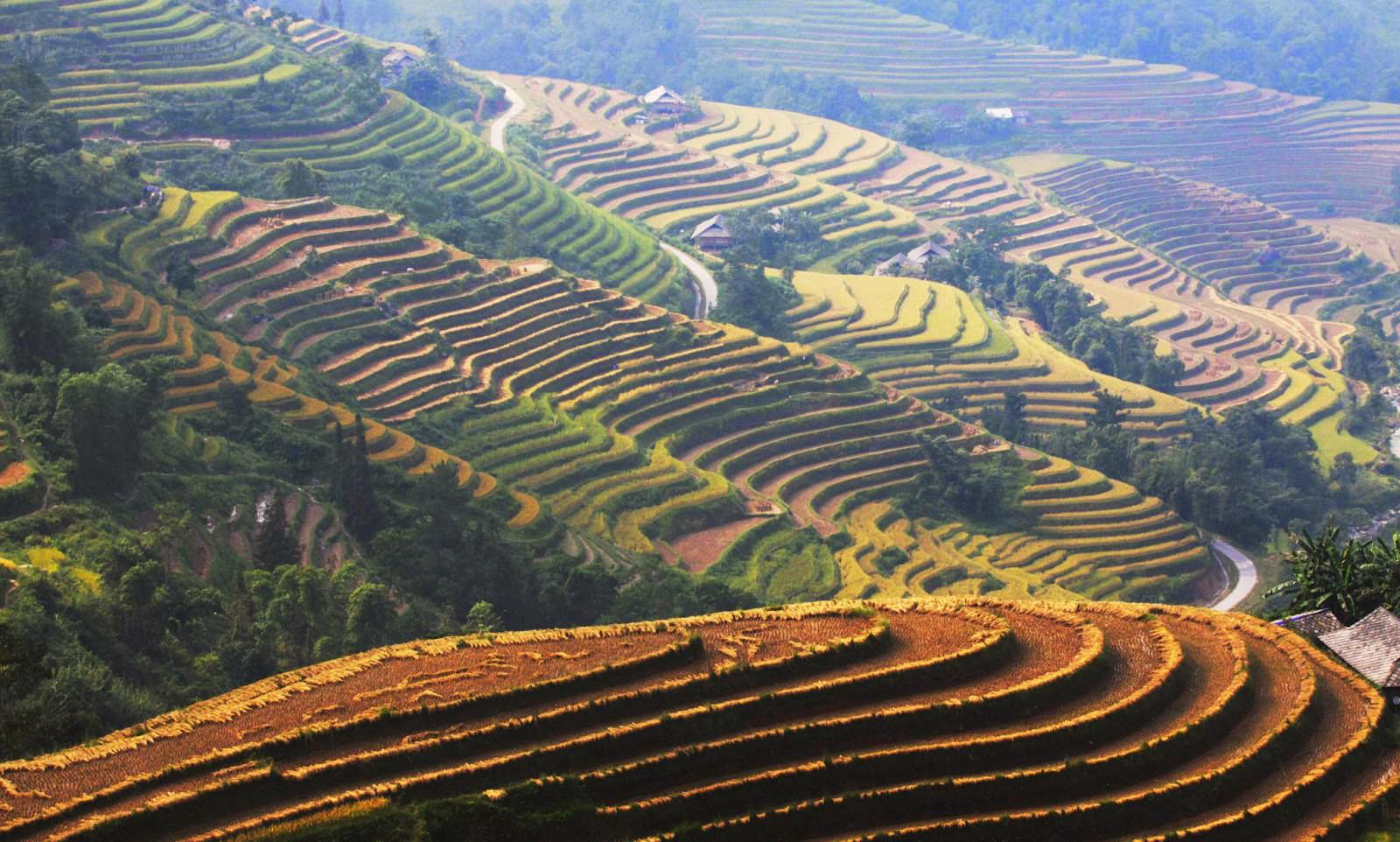 Hoang-Su-Phi-ngam-lua-thoa-chi-tang-bong-wetrekvn.jpg