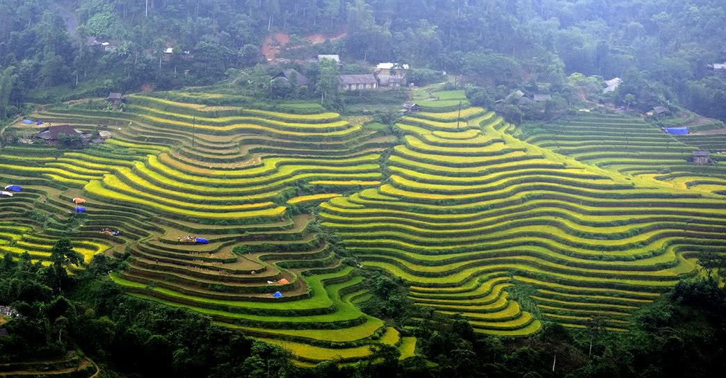 Nhung-diem-san-lua-dep-nhat-mien-Bac.jpg